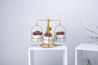 Rotating Carousel Ceramic Succulent Planter Set