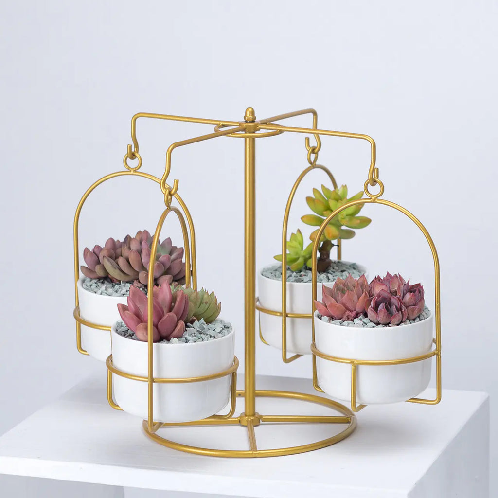 Rotating Carousel Ceramic Succulent Planter Set