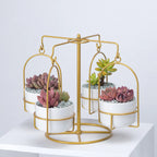 Rotating Carousel Ceramic Succulent Planter Set