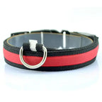 LED Dog Collar with Light Strip for Illumination